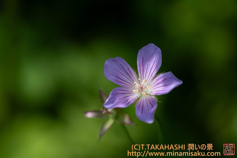 ../Images/7R250727 (184).jpg